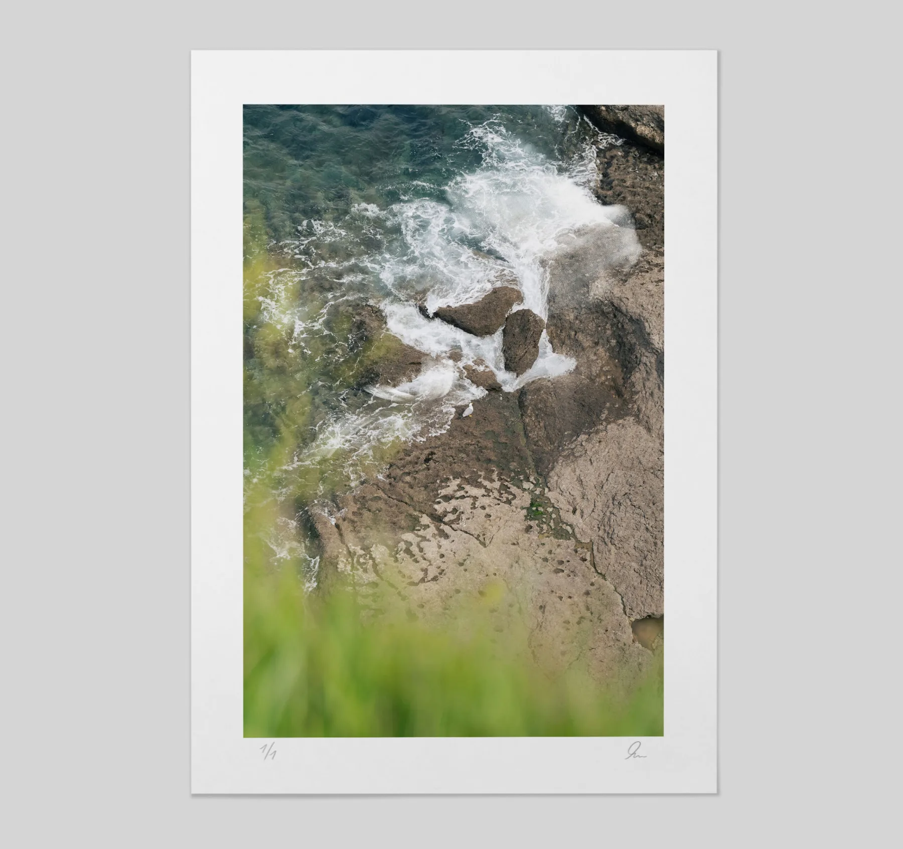 The Color Coast